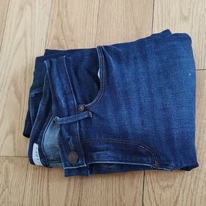 Loft Blue Skinny Jeans